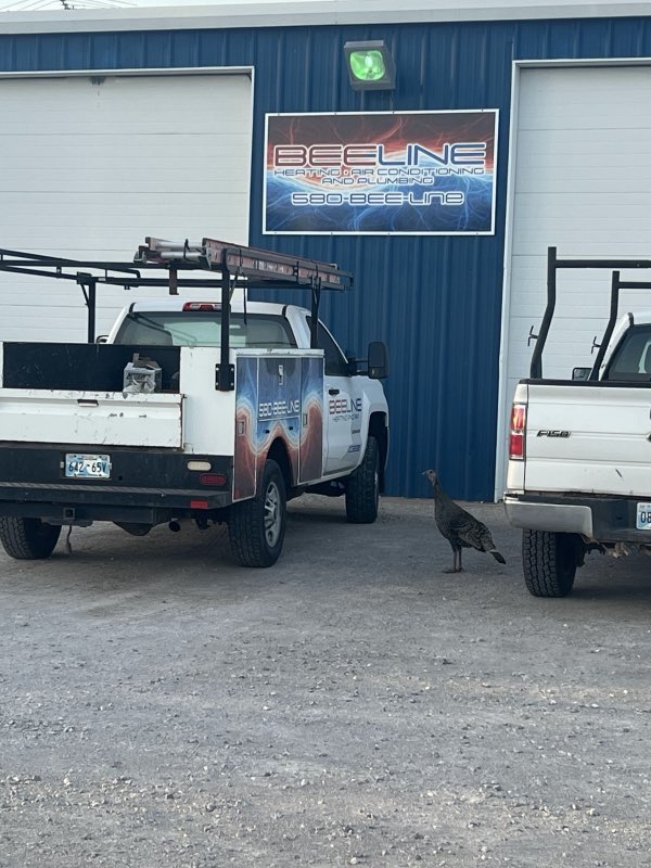 Branded Bee Line service truck parked at the shop