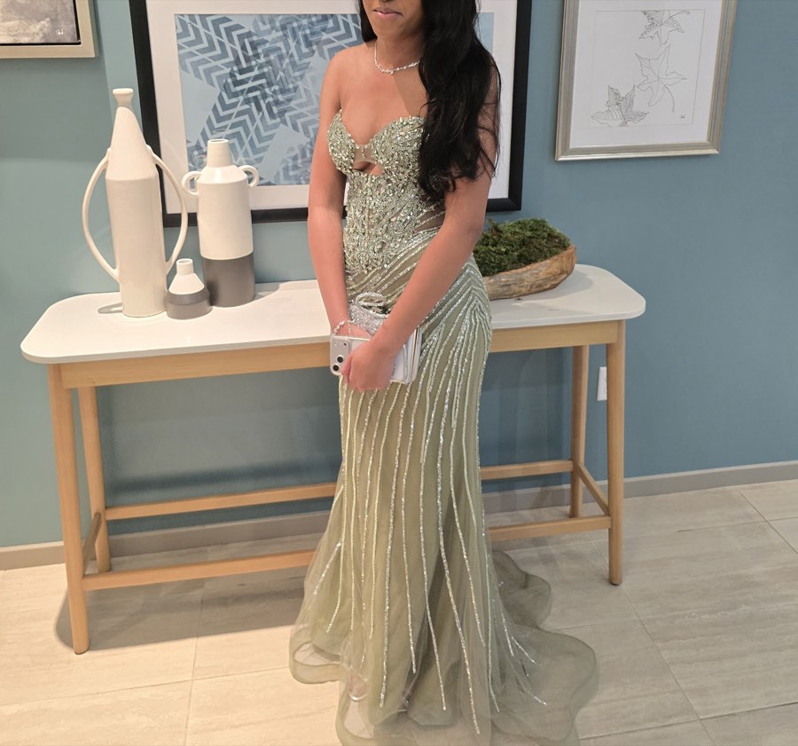 Client in a fitted beaded evening gown with a crystal bodice