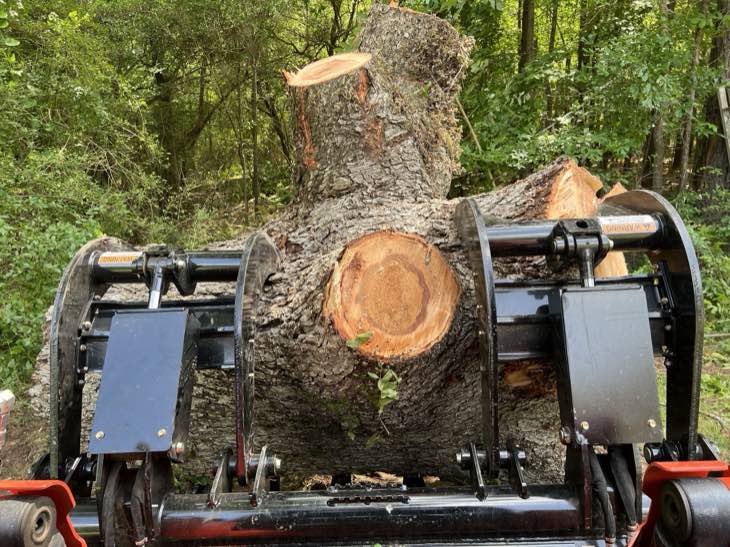 A large freshly-cut tree trunk gripped in the jaws of the skid-steer grapple
